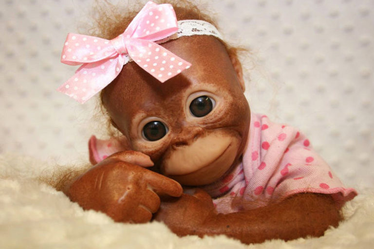monkey real life doll