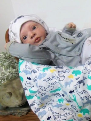 Mini-Reborn-Boy-Doll-Huckleberry Mini Reborn Boy Doll Huckleberry