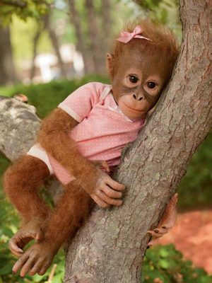 Adorable Reborn Monkey Dolls World Reborn Doll