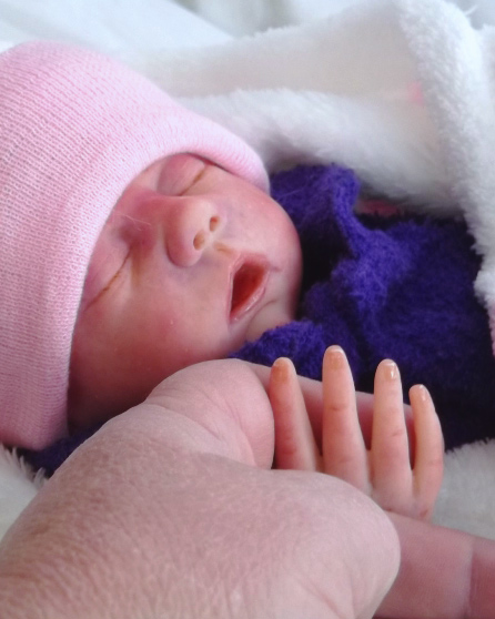 reborn doll from Anne