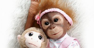 baby monkey dol